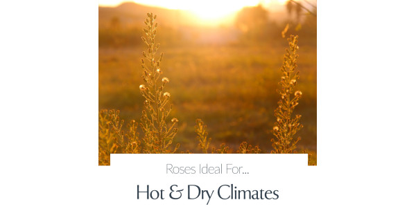 Hot and Dry Climates